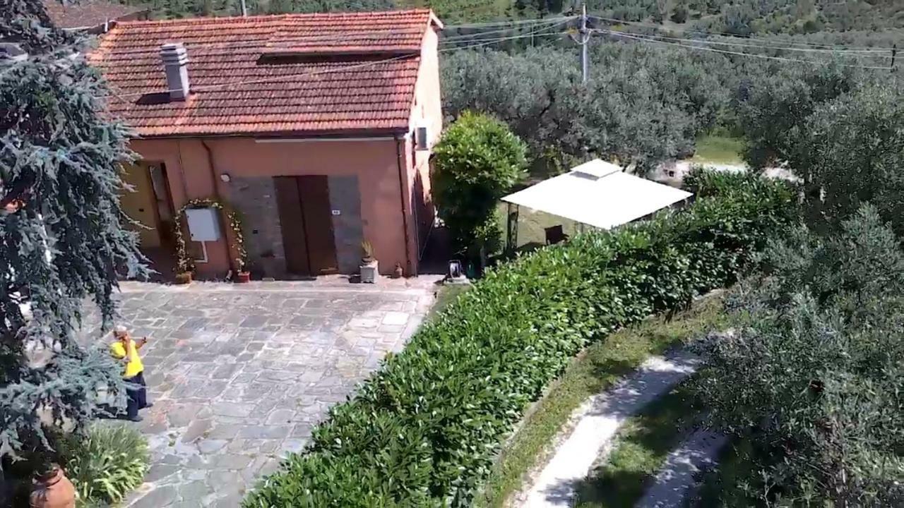 Il Borgo Dei Pini Apartment Vinci Exterior photo